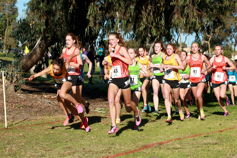 Werner_TaylorTripped-FLxcFinal13