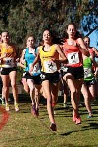 Jenks-Barrett-Werner-Maxwell-FLxcFinal13