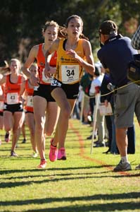 Werner_Taylor-FLfinal13