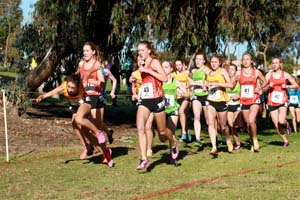 Werner_TaylorTripped-FLxcFinal13