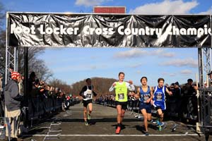 Wilson-Dinger-CorglianoFH