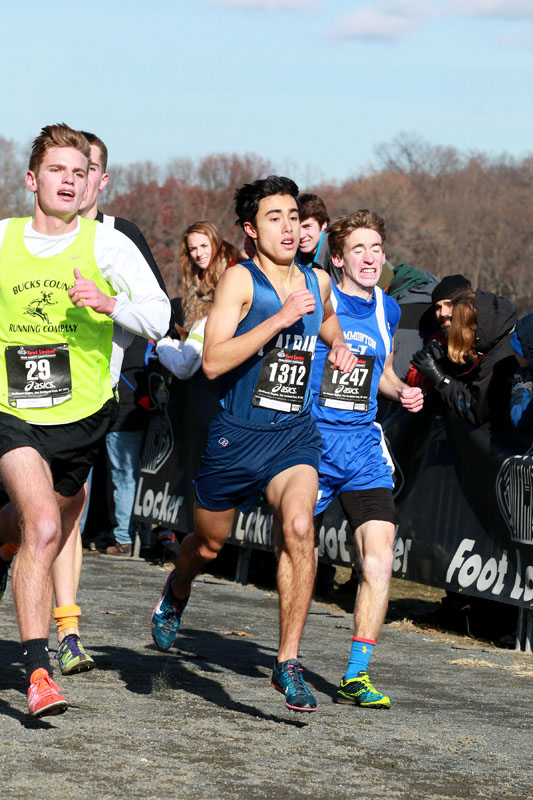 Wilson-Dinger-Corgliano