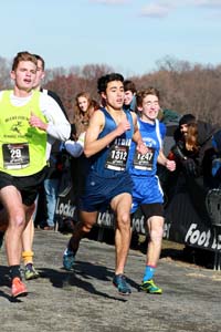 Wilson-Dinger-Corgliano