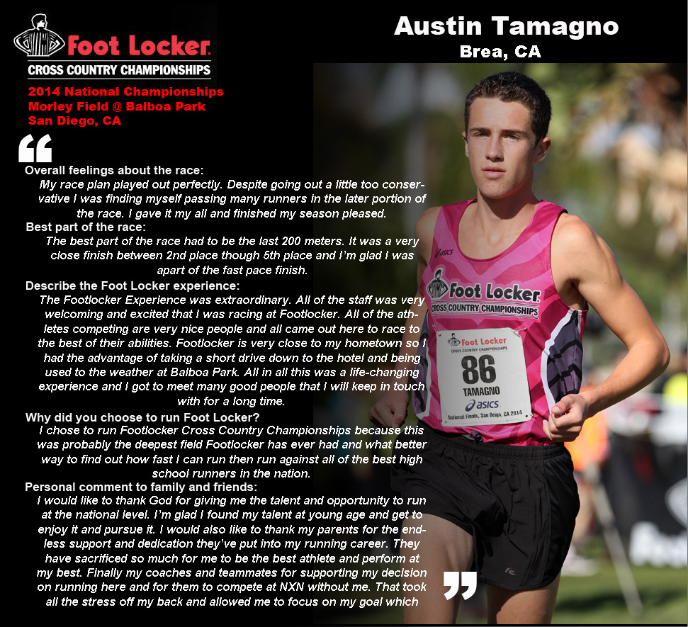 Austin Tamagno_Comments