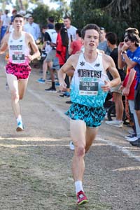 Hengst_DaltonLeds1-FLcc17